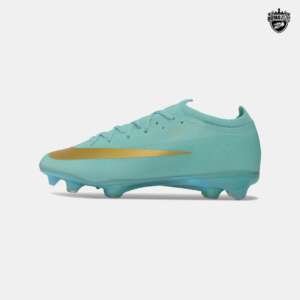 Mercurial Vapor 17 Elite FG